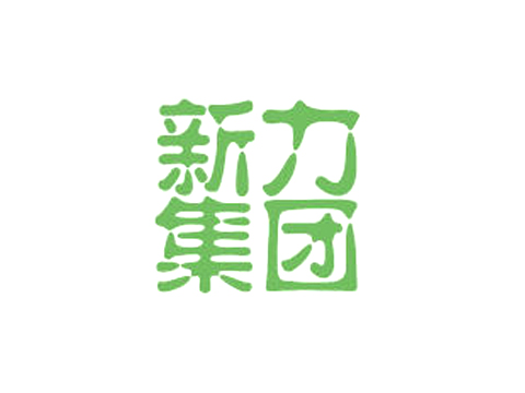 济南新力集团有限责任公司