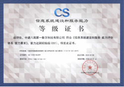 CS 信息系统建设和服务能力评估